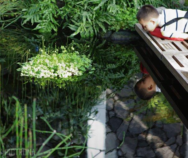 ChildReflectionComoZoo