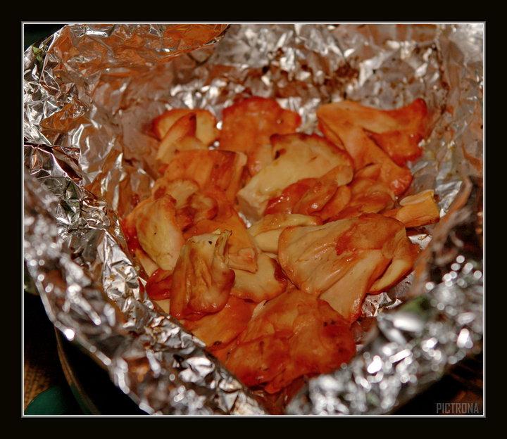 CookedSulfurShelfMinnesota