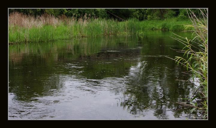 MinnehahaCreekMinnesota