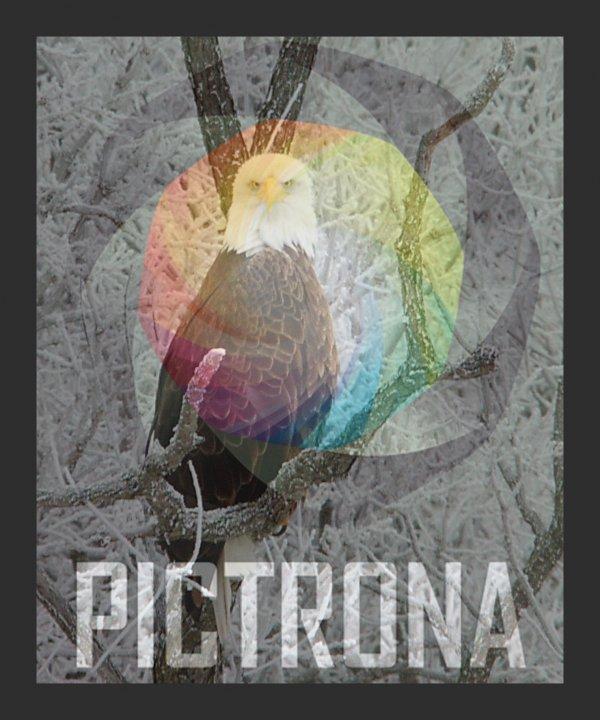 PictronaEagle