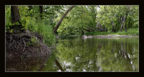 CrowRiverDelanoMinnesota