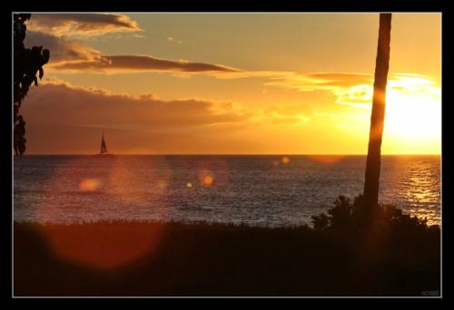 MauiSailboatLensFlareSunset