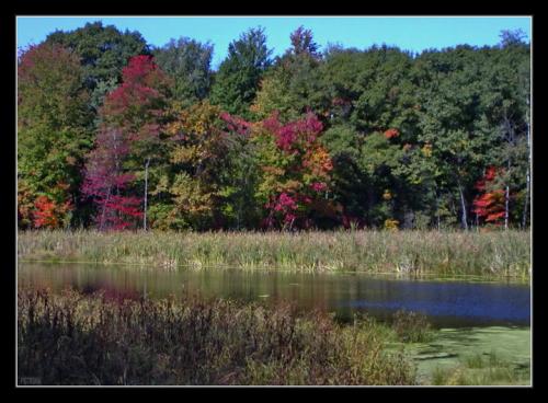 ScandiaMinnesotaFallColorPond