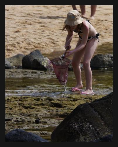 SophiaNetHawaii