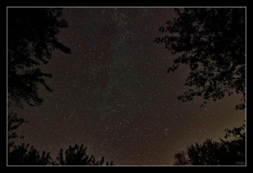 StarsOverCrowRiverMinnesota